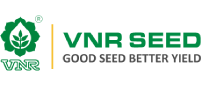 SRU Placements VNR Seeds